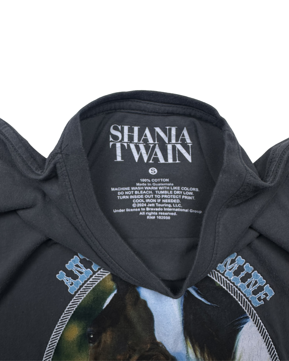 Shania Twain Any Man of Mine Graphic T-Shirt (Small)