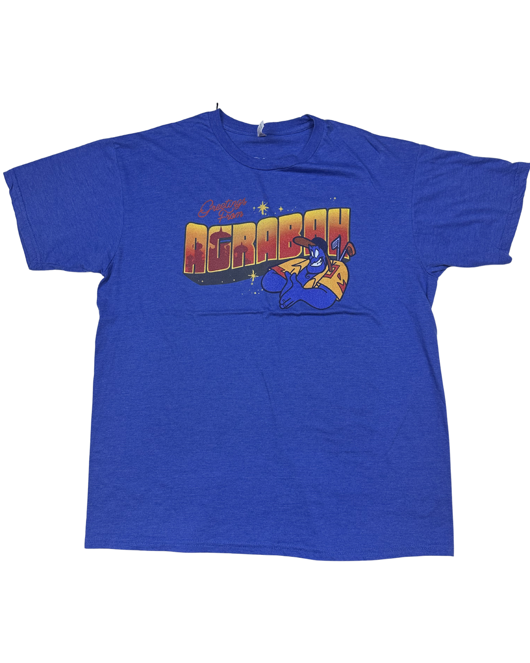 Disney Aladdin Greetings From Agrabah Graphic T-Shirt (X-Large)