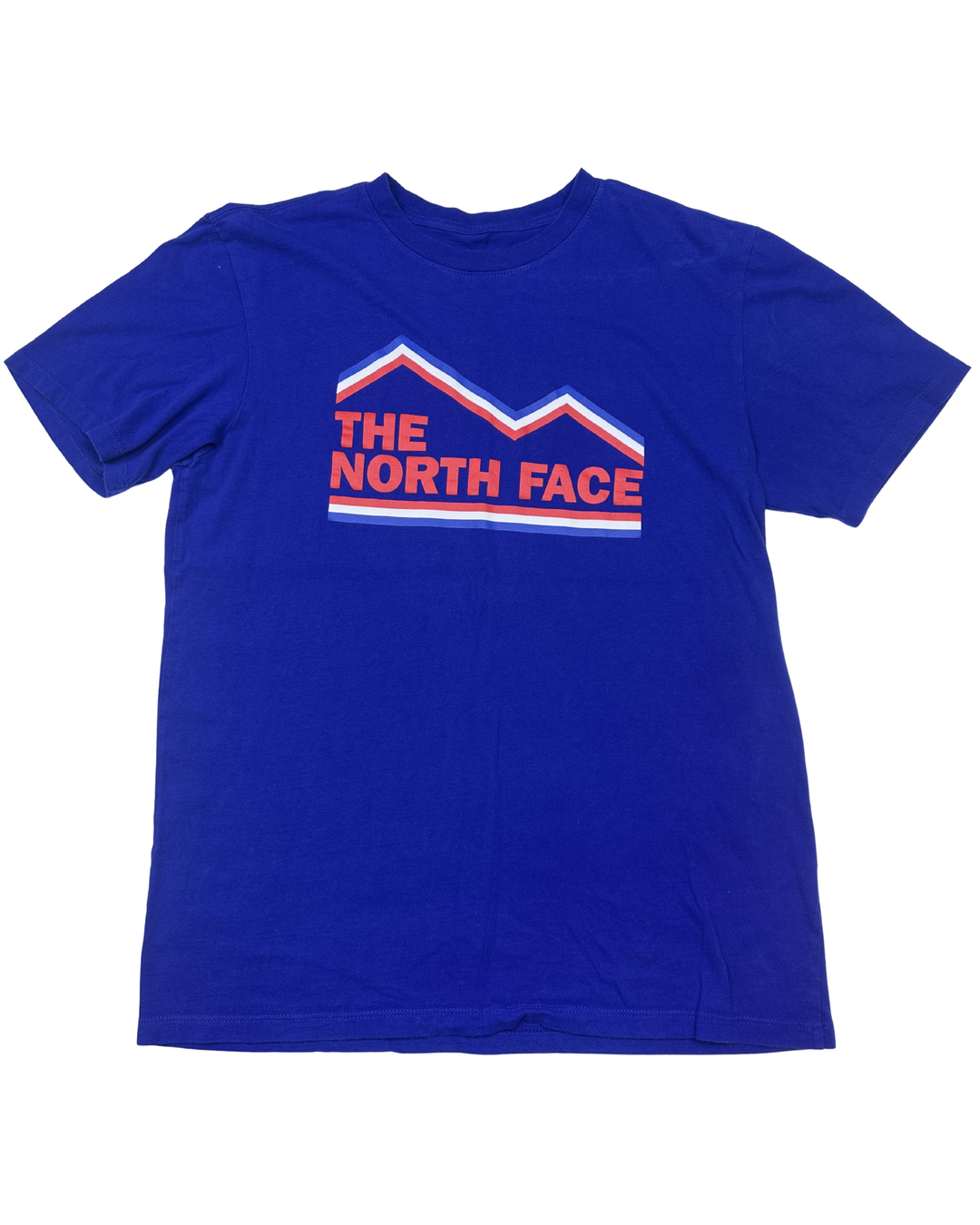 The North Face Mountain Logo Graphic T-Shirt (Medium)