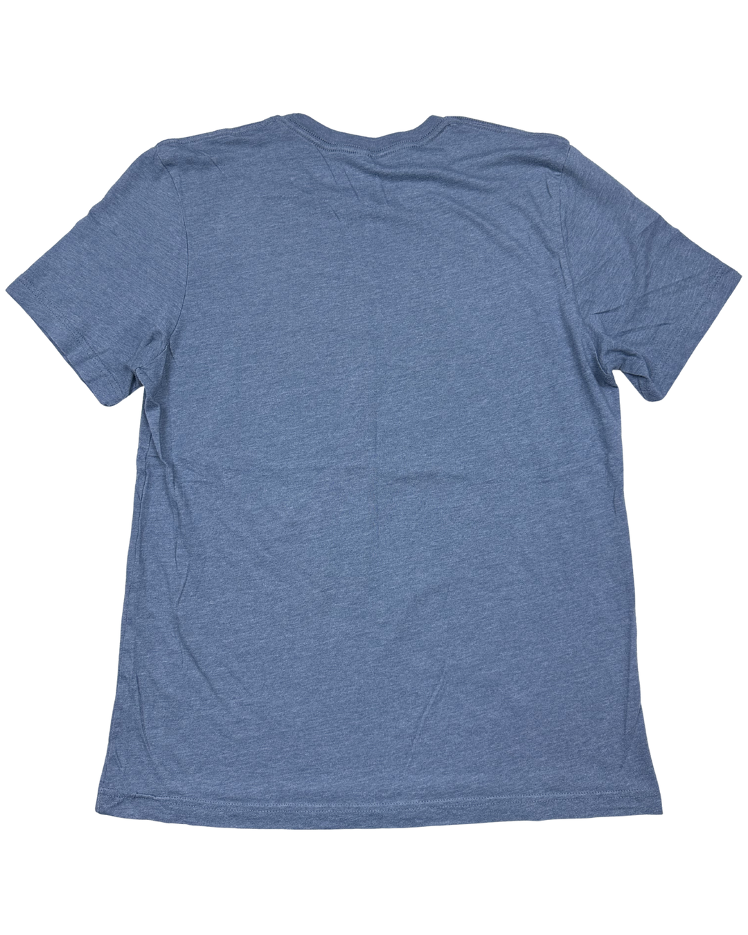 Tedeschi Trucks Band Buffalo Graphic T-Shirt (medium)