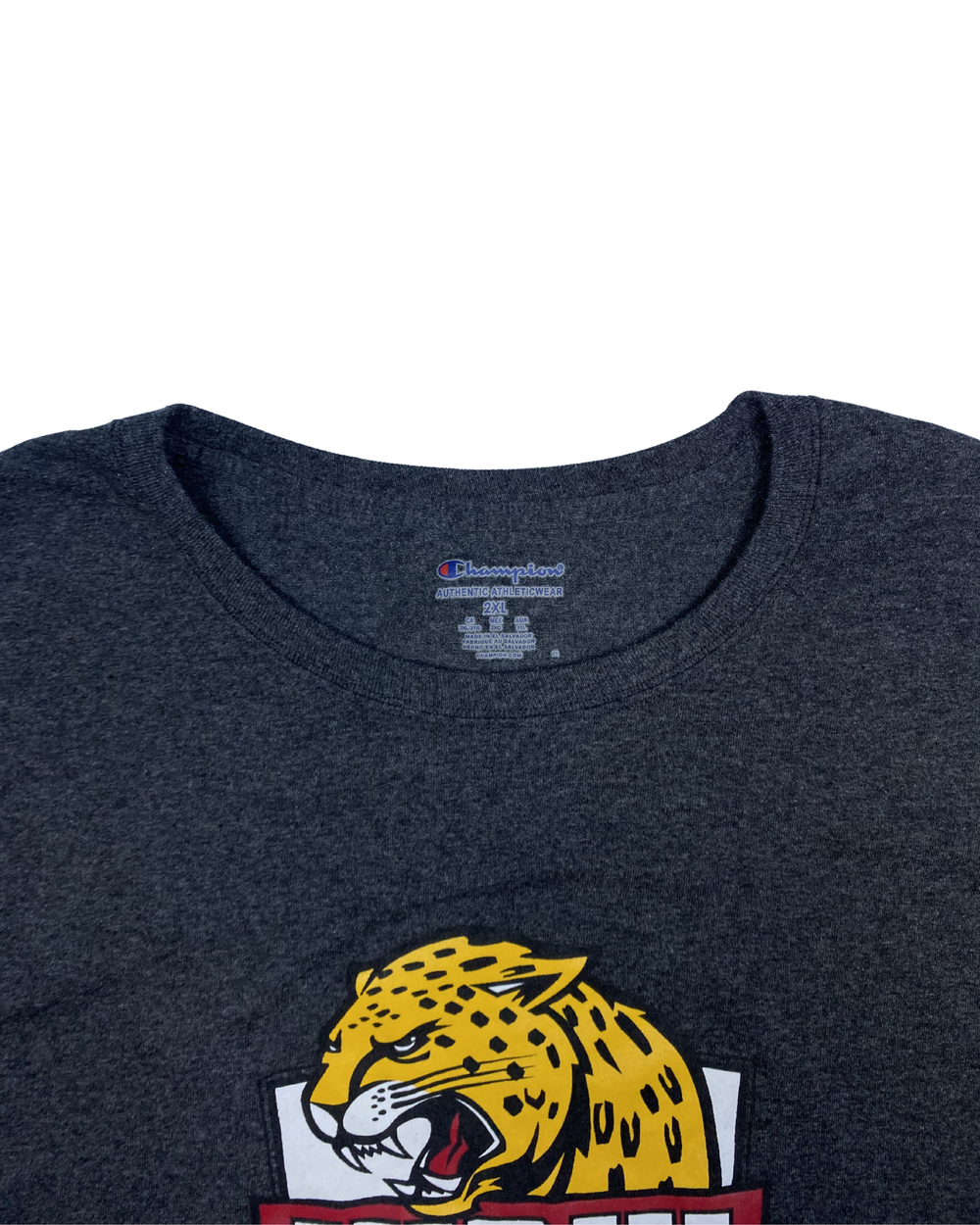 Champion IUPUI Jaguars Long Sleeve Graphic T-Shirt (XL)