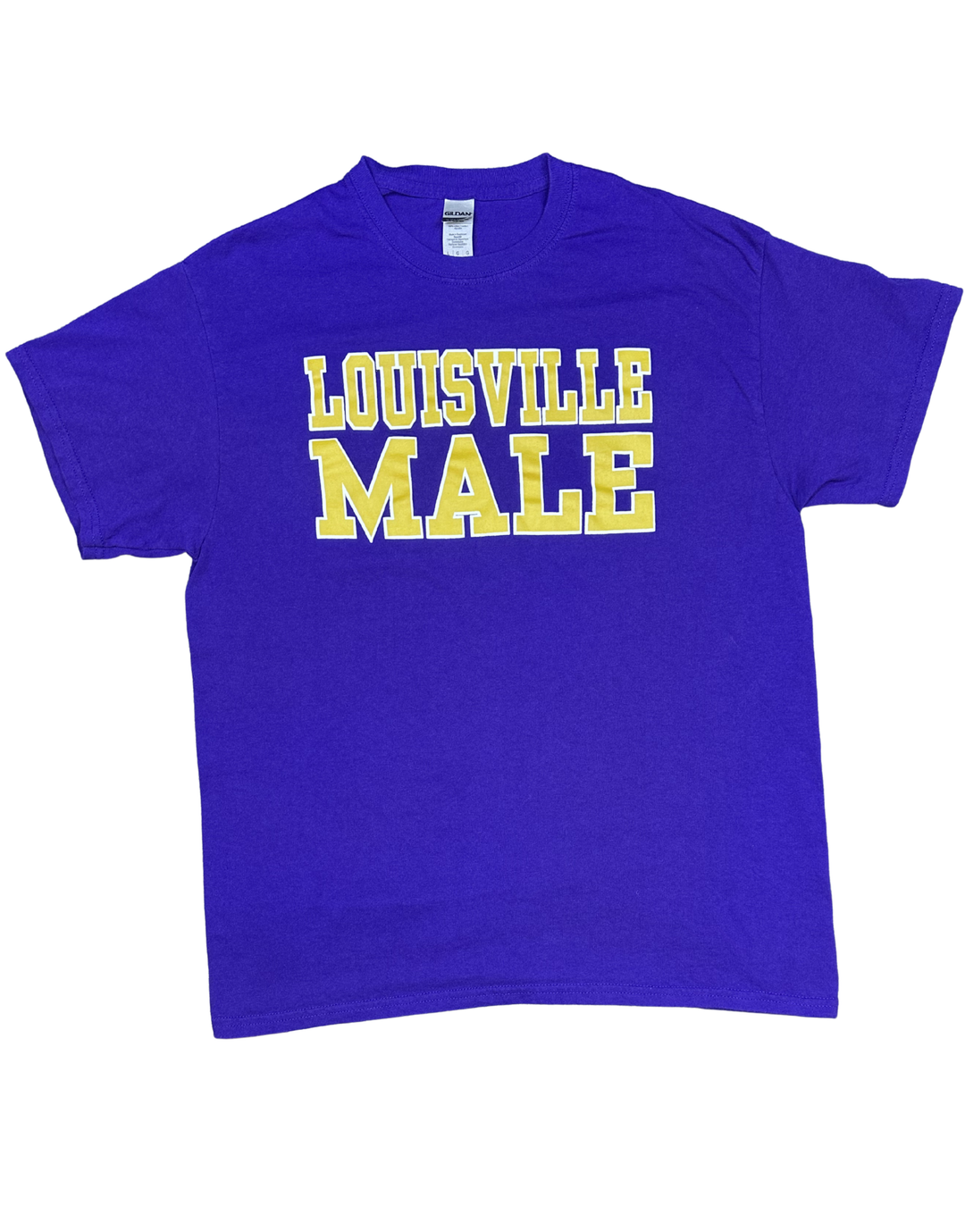 Louisville Male Graphic T-Shirt (Large)