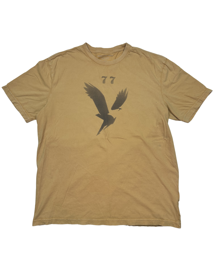 American Eagle T-Shirt (medium)