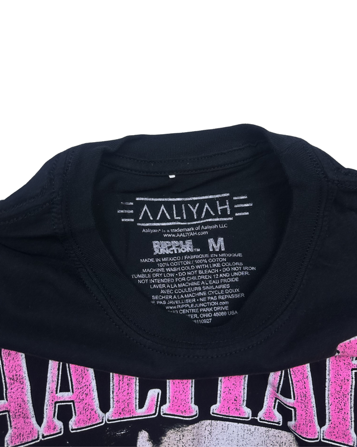 Aaliyah Princess of R&B Graphic T-Shirt (medium)