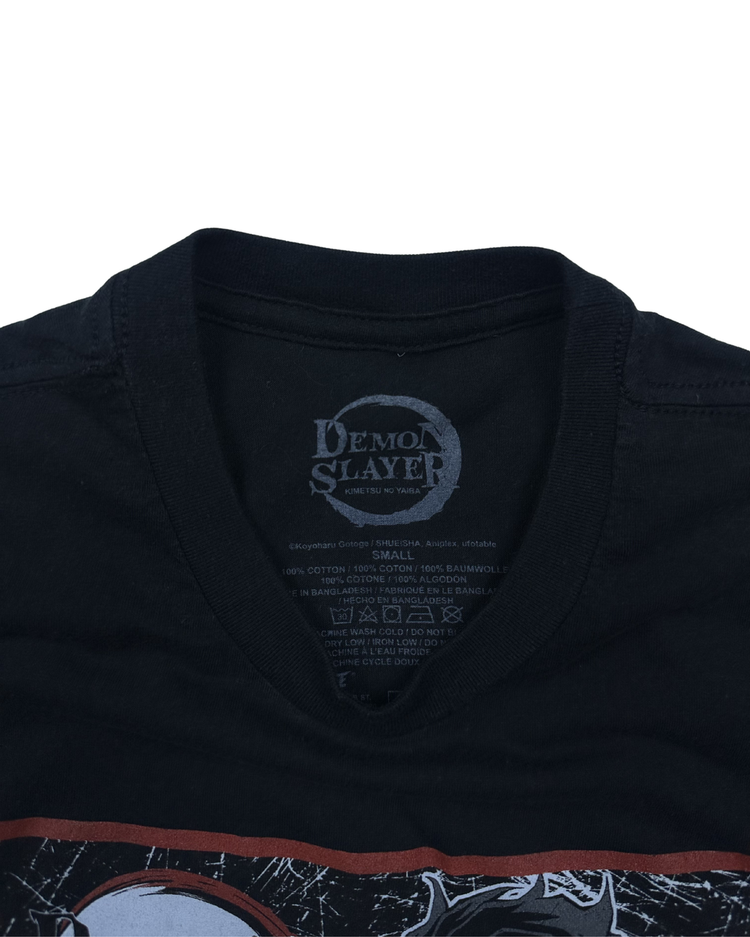 Demon Slayer Characters Graphic T-Shirt (Small)