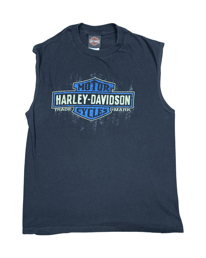 Harley-Davidson Bruce Rossmeyer's Daytona Beach Sleeveless T-Shirt (Medium)