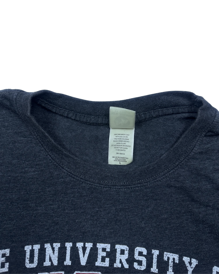 University of Chicago Graphic T-Shirt (Large)