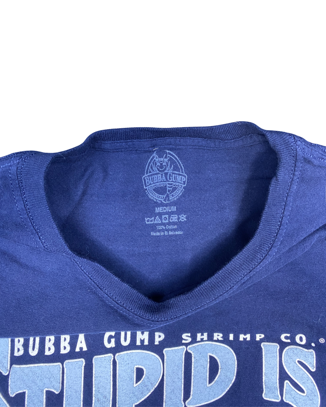 Bubba Gump Shrimp Co. Stupid Is As Stupid Does Santa Monica Pier Graphic T-Shirt (Medium)