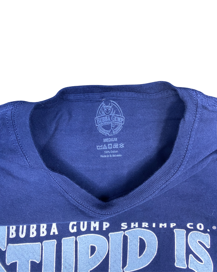 Bubba Gump Shrimp Co. Stupid Is As Stupid Does Santa Monica Pier Graphic T-Shirt (Medium)