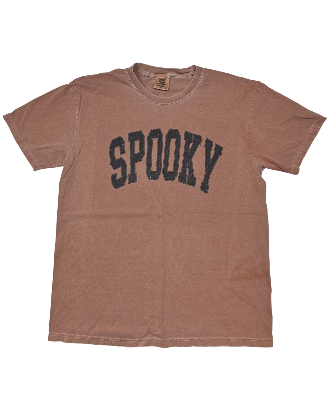 Comfort Colors Spooky Graphic T-Shirt (large)