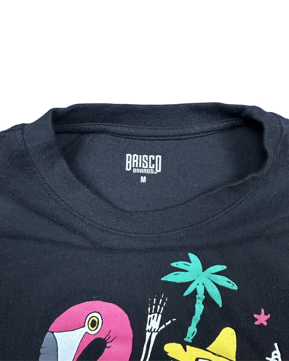 Brisco Brands Skeleton Flamingo Graphic T-Shirt (Medium)