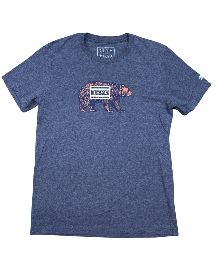 All-City Chicago Flag Bear T-Shirt (Medium)