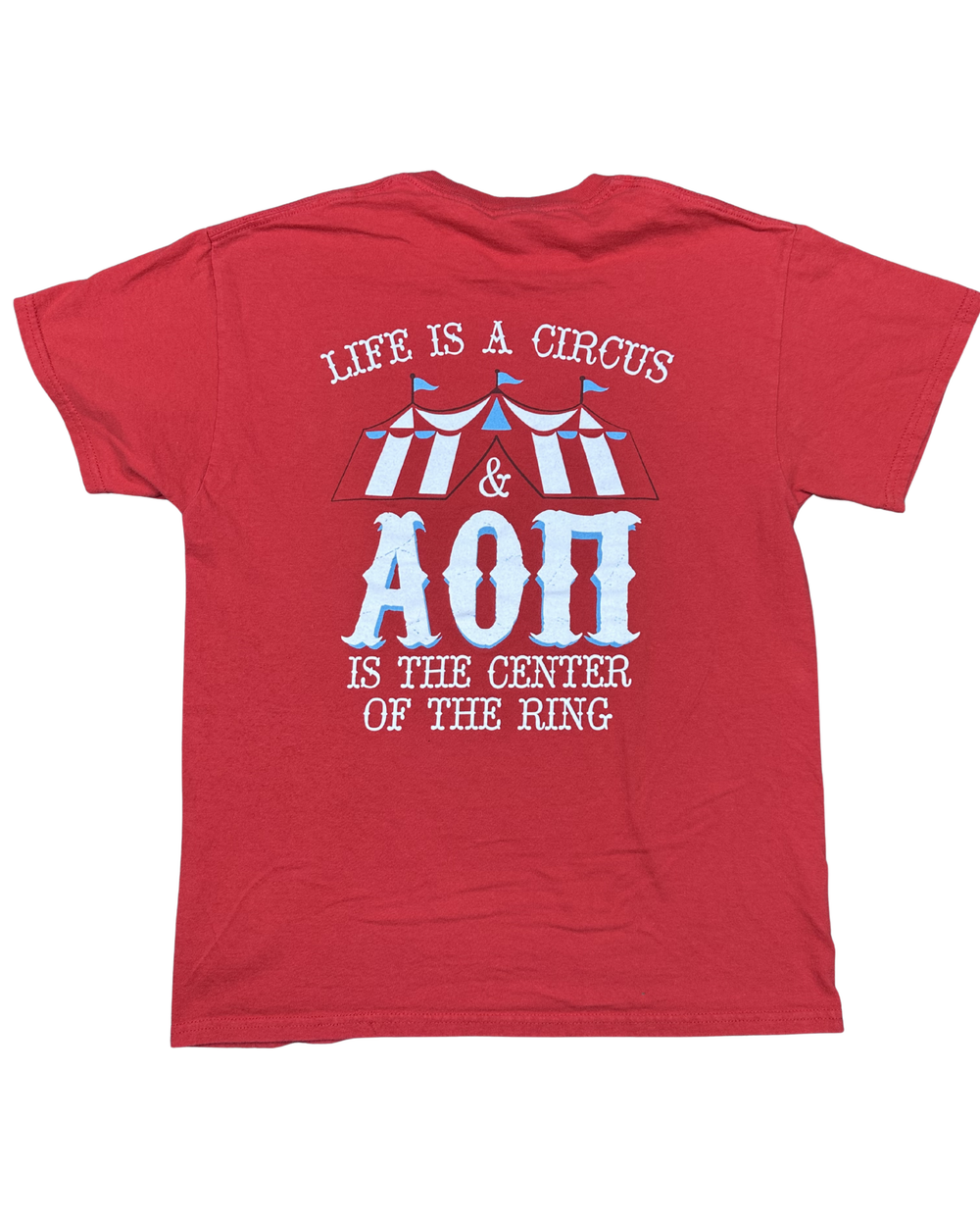 Alpha Omicron Pi Fall Bid Day 2017 Graphic T-Shirt