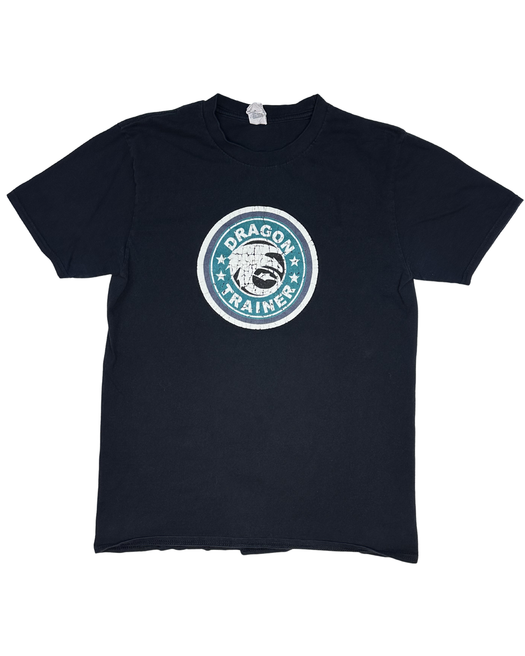 How to Train Your Dragon 'Dragon Trainer' Graphic T-Shirt (Medium)
