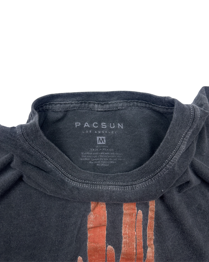 PacSun Death Valley National Park T-Shirt (medium)