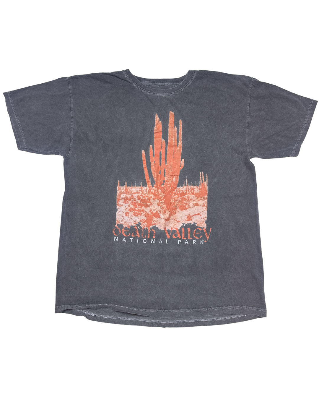 PacSun Death Valley National Park T-Shirt (medium)