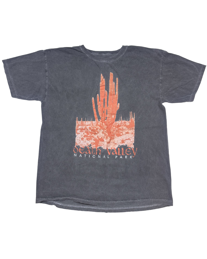 PacSun Death Valley National Park T-Shirt (medium)