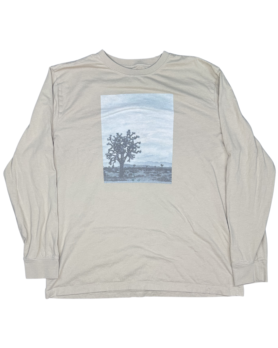 American Eagle Joshua Tree Graphic Long Sleeve T-Shirt (Large)