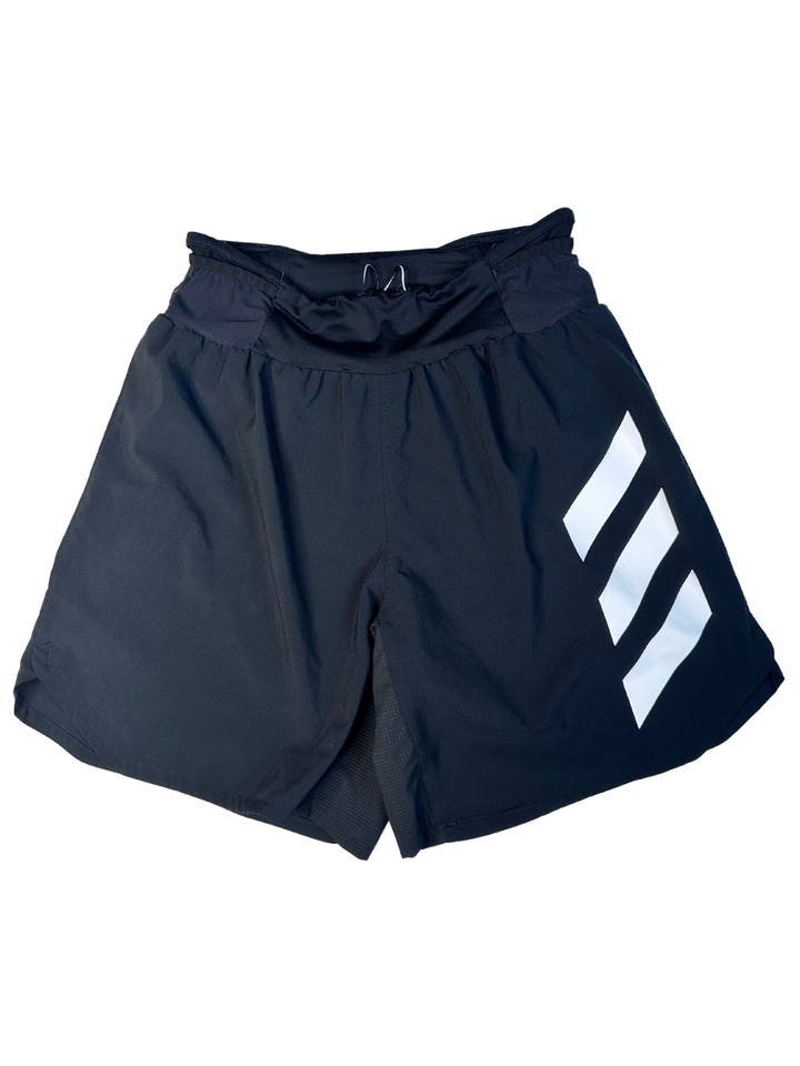 Adidas Terrex Shorts (medium)