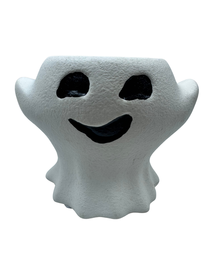 Ghost Plant Pot