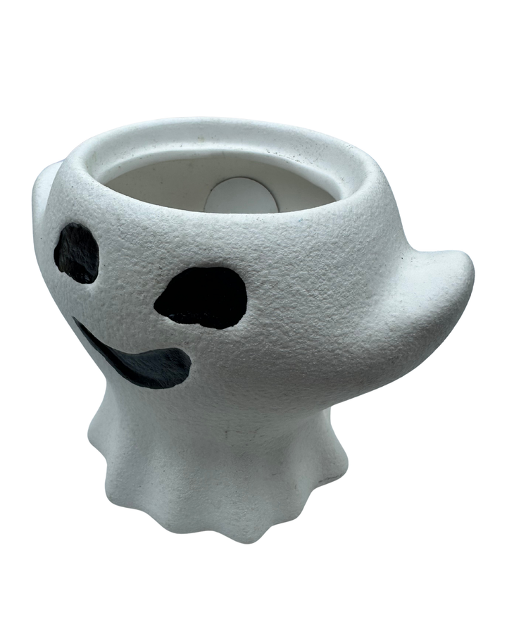 Ghost Plant Pot