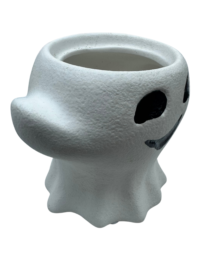 Ghost Plant Pot