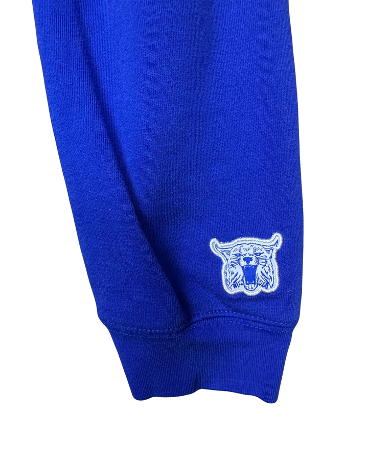 University of Kentucky Sweater (large)
