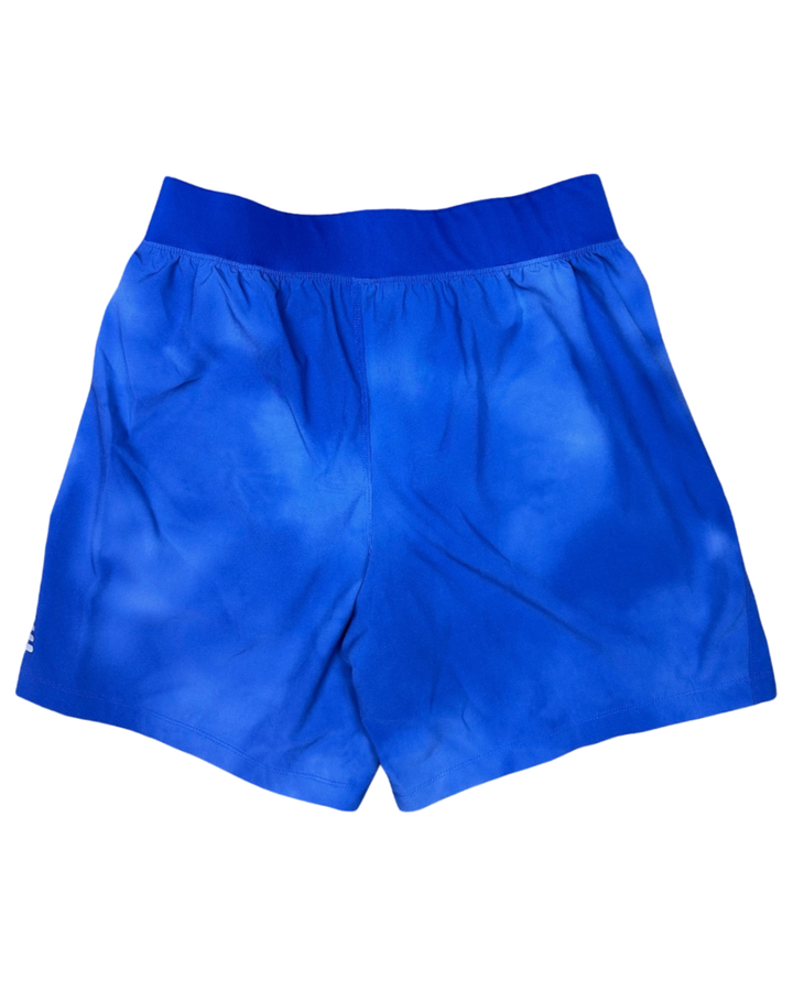 Under Armour Shorts (medium)