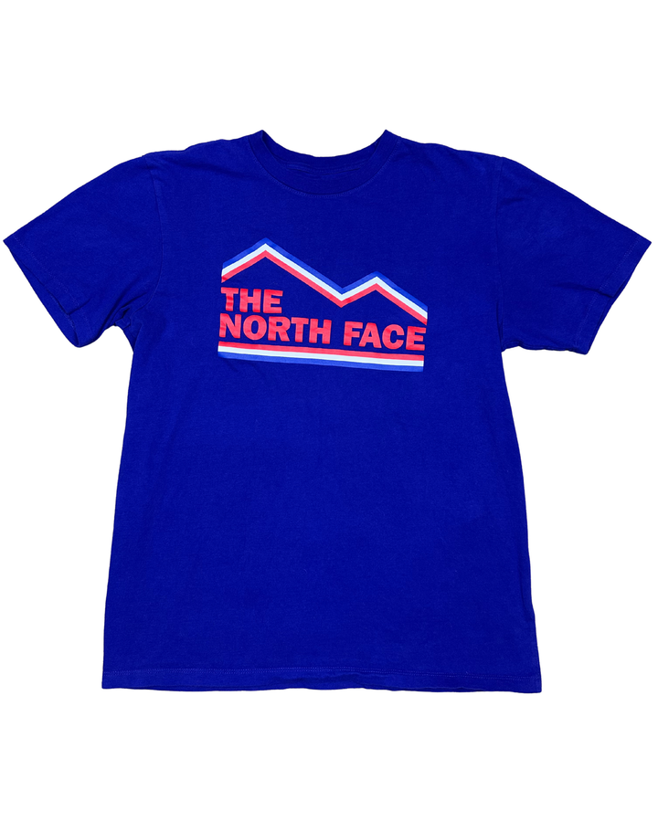 The North Face T-shirt (medium)