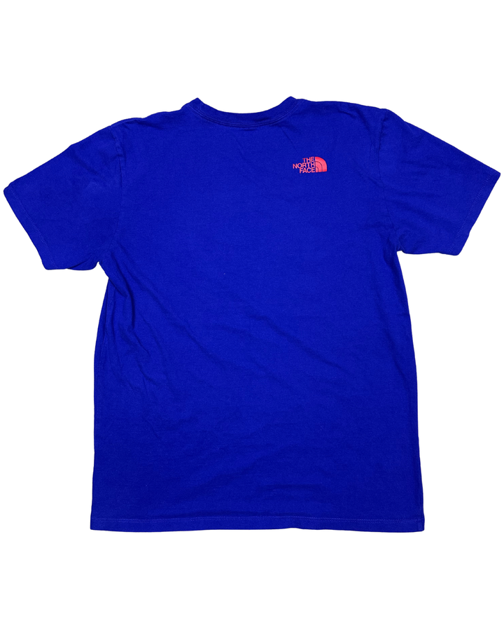 The North Face T-shirt (medium)