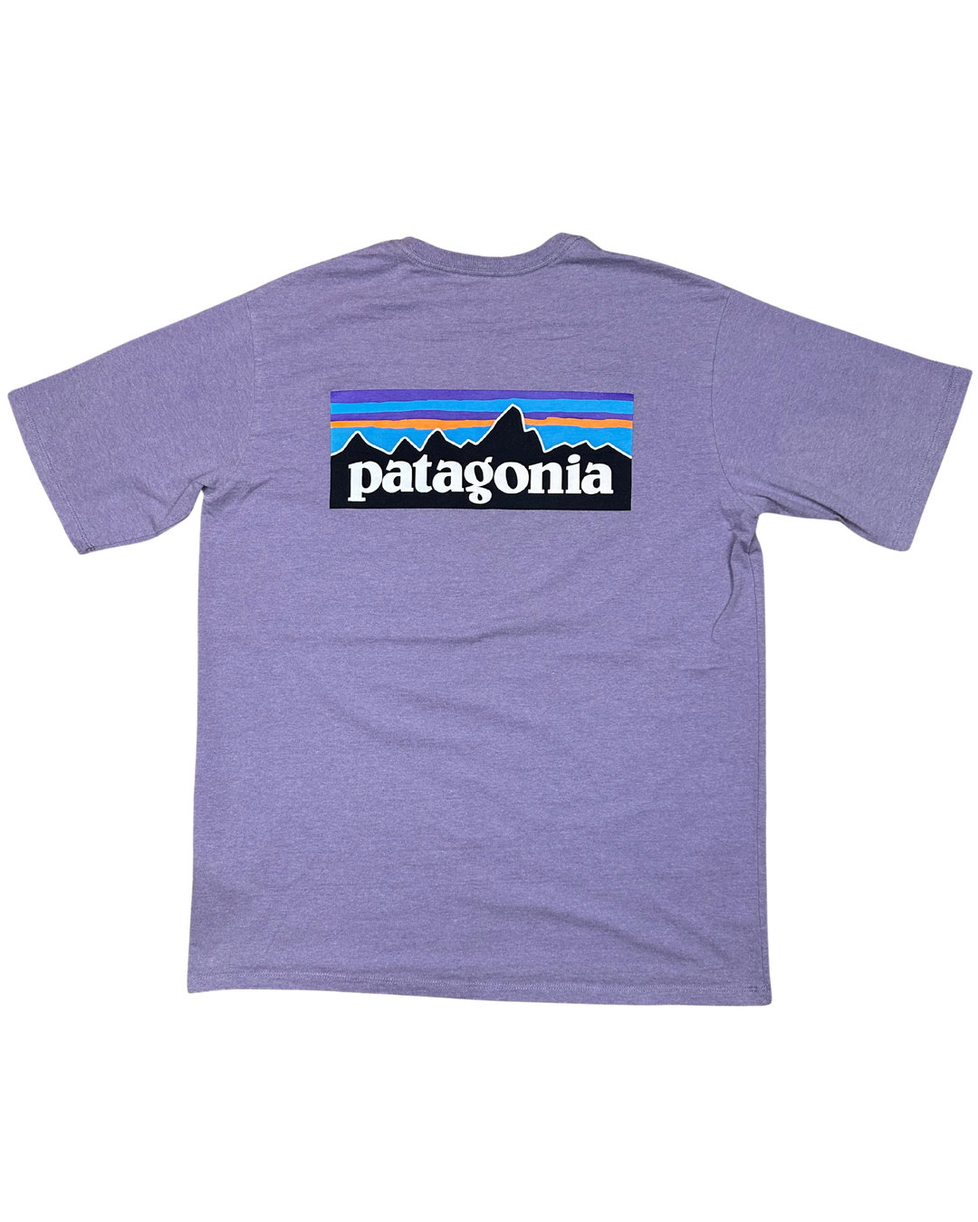 Patagonia Responsibili-tee T-shirt (medium)